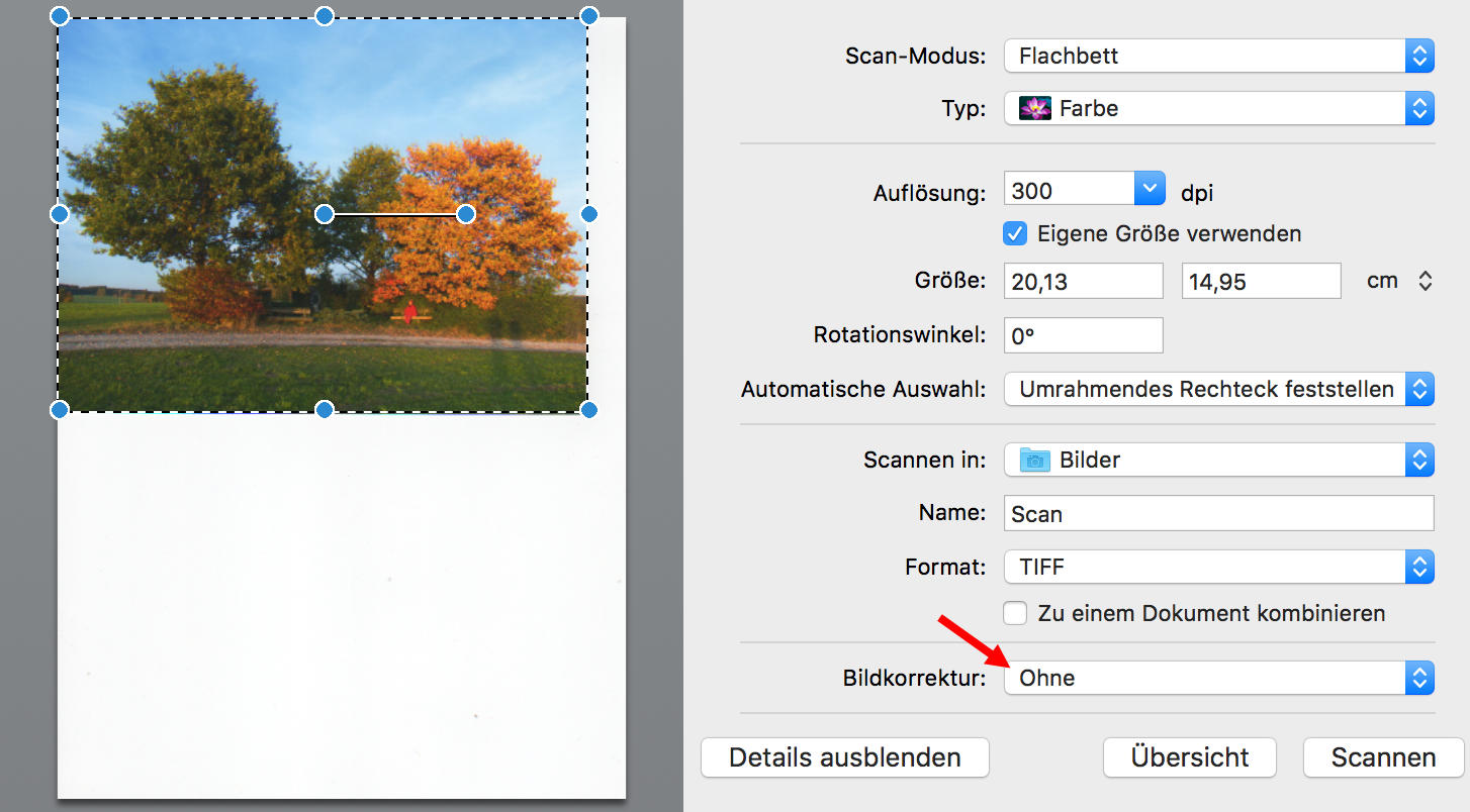 Standard-Scandialog